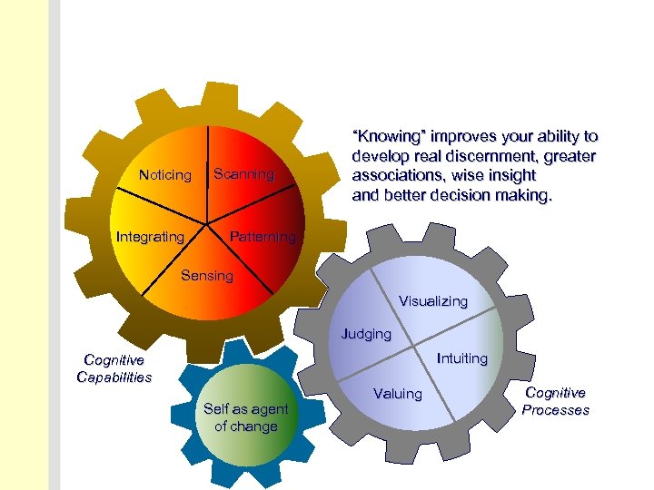 Noticing Integrating Scanning “Knowing” improves your ability to develop real discernment, greater associations, wise