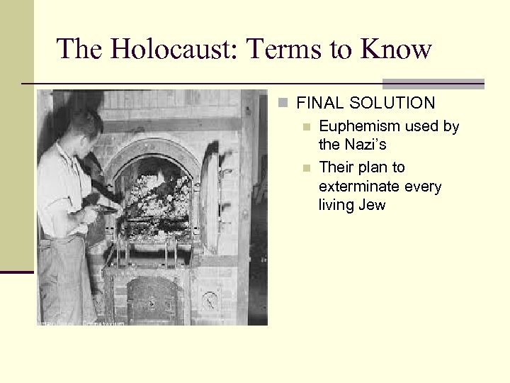 The Holocaust: Terms to Know n FINAL SOLUTION n Euphemism used by the Nazi’s
