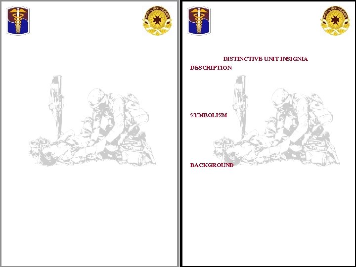 DISTINCTIVE UNIT INSIGNIA DESCRIPTION SYMBOLISM BACKGROUND 