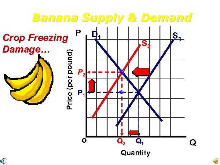 Banana Supply & Demand Price (per pound) Crop Freezing Damage… P D 1 S