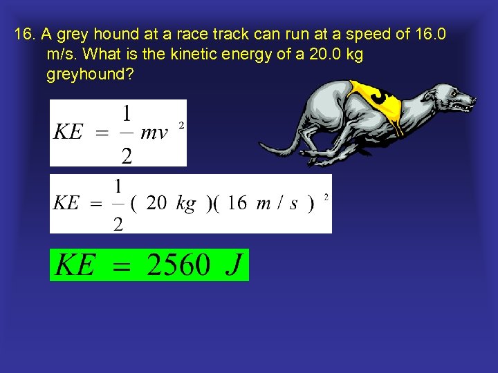 16. A grey hound at a race track can run at a speed of