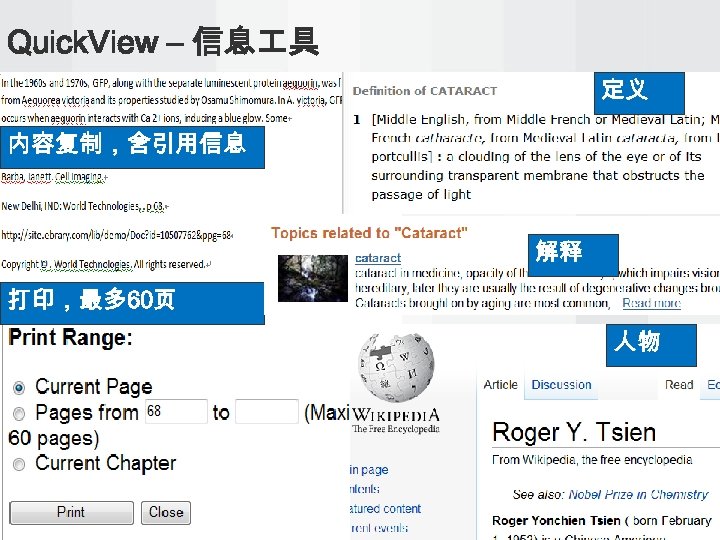Quick. View – 信息 具 定义 内容复制，含引用信息 解释 打印，最多 60页 人物 