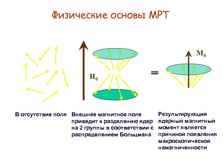 Физические основы МРТ M 0 H 0 = В отсутствие поля Внешнее магнитное поле