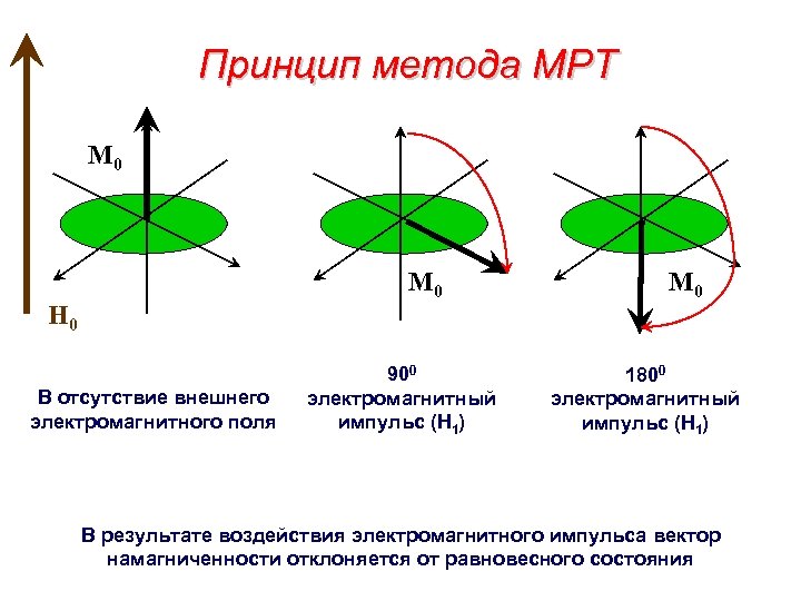 Эквивалентная электрическая схема биологических тканей