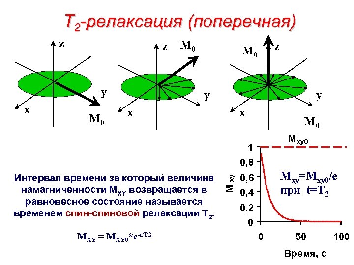 T 2 -релаксация (поперечная) z z y x M 0 z M 0 y