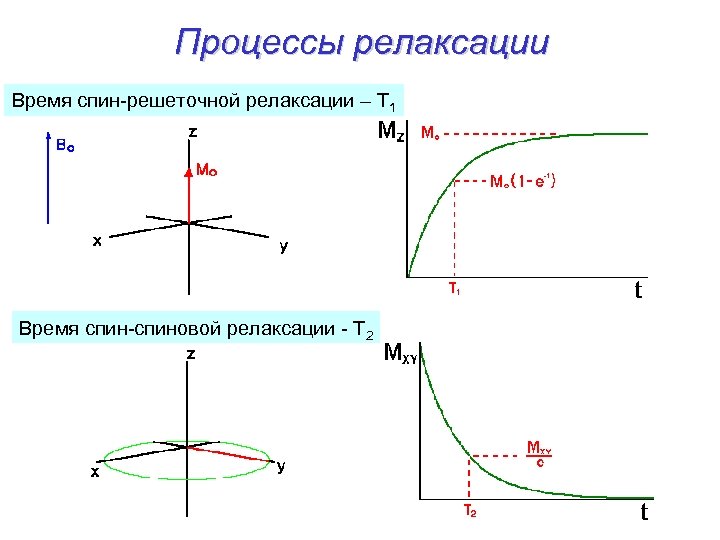 Процессы релаксации Время спин-решеточной релаксации – Т 1 Время спин-спиновой релаксации - Т 2