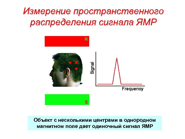 Измерение пространственного распределения сигнала ЯМР Объект с несколькими центрами в однородном магнитном поле дает