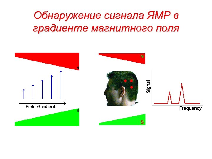 Обнаружение сигнала ЯМР в градиенте магнитного поля 