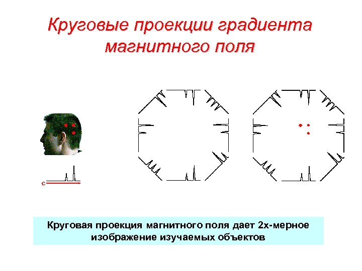Круговые проекции градиента магнитного поля Круговая проекция магнитного поля дает 2 х-мерное изображение изучаемых