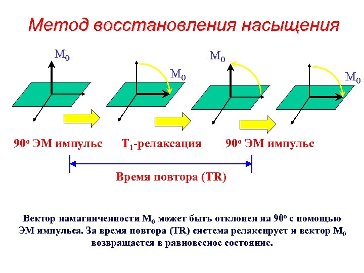 Метод восстановления насыщения M 0 M 0 y x 90 o ЭМ импульс T