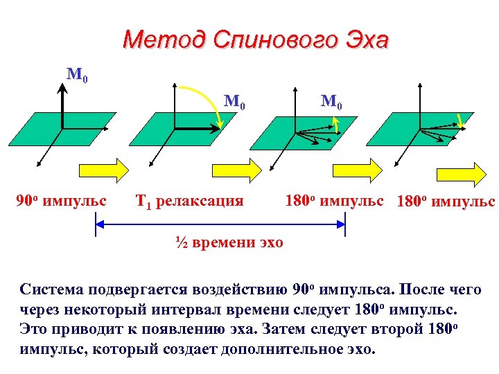 Метод Спинового Эха M 0 M 0 y x 90 o импульс T 1