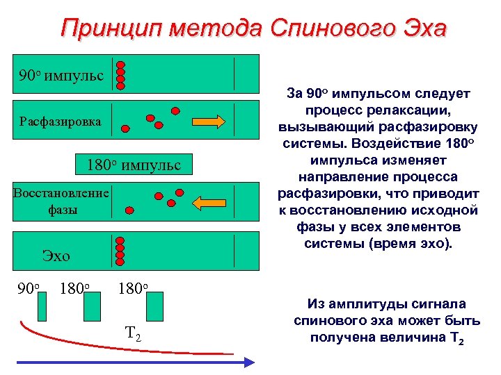 Принцип метода Спинового Эха 90 o импульс Расфазировка 180 o импульс Восстановление фазы Эхо