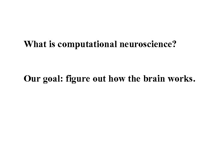 What is computational neuroscience? Our goal: figure out how the brain works. 