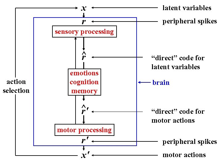 x r latent variables peripheral spikes sensory processing ^ r action selection emotions cognition