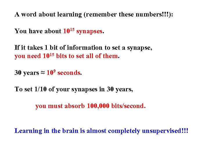 A word about learning (remember these numbers!!!): You have about 1015 synapses. If it