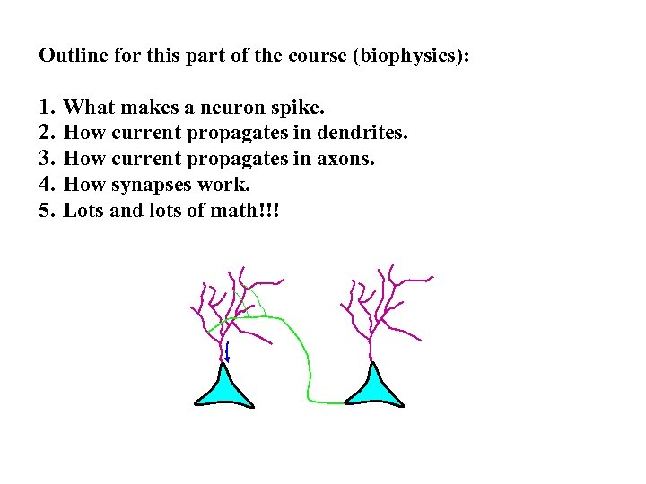 Outline for this part of the course (biophysics): 1. 2. 3. 4. 5. What