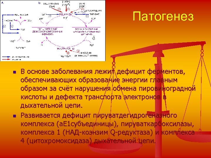Патогенез n n В основе заболевания лежит дефицит ферментов, обеспечивающих образование энергии главным образом