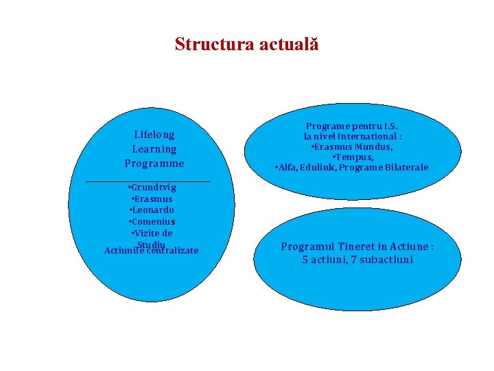 Structura actuală Lifelong Learning Programme • Grundtvig • Erasmus • Leonardo • Comenius •