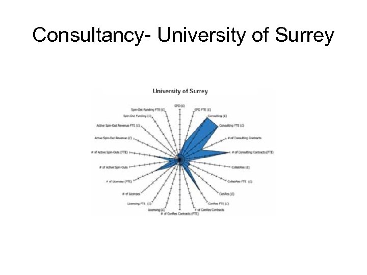 Consultancy- University of Surrey 