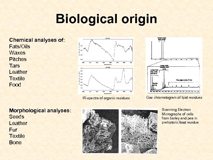 Biological origin Chemical analyses of: Fats/Oils Waxes Pitches Tars Leather Textile Food Short-chain fatty