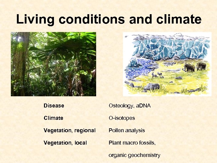 Living conditions and climate Disease Osteology, a. DNA Climate O-isotopes Vegetation, regional Pollen analysis
