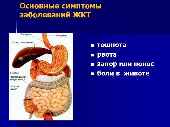 Основные симптомы заболеваний ЖКТ n n тошнота рвота запор или понос боли в животе