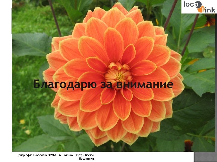 Благодарю за внимание Центр офтальмологии ФМБА РФ Глазной центр «Восток. Прозрение» 