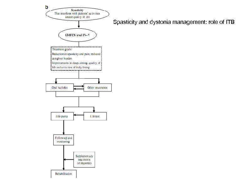 Spasticity and dystonia management: role of ITB 