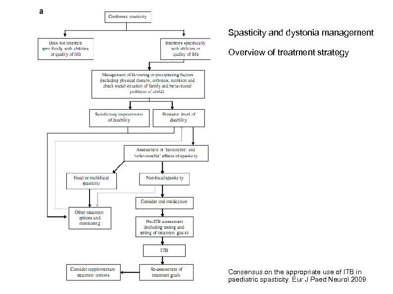 Spasticity and dystonia management Overview of treatment strategy Consensus on the appropriate use of