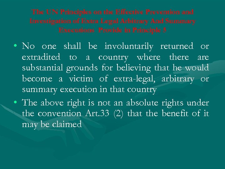 The UN Principles on the Effective Prevention and Investigation of Extra Legal Arbitrary And