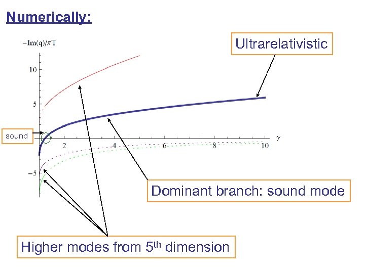 Numerically: Ultrarelativistic sound Dominant branch: sound mode Higher modes from 5 th dimension 