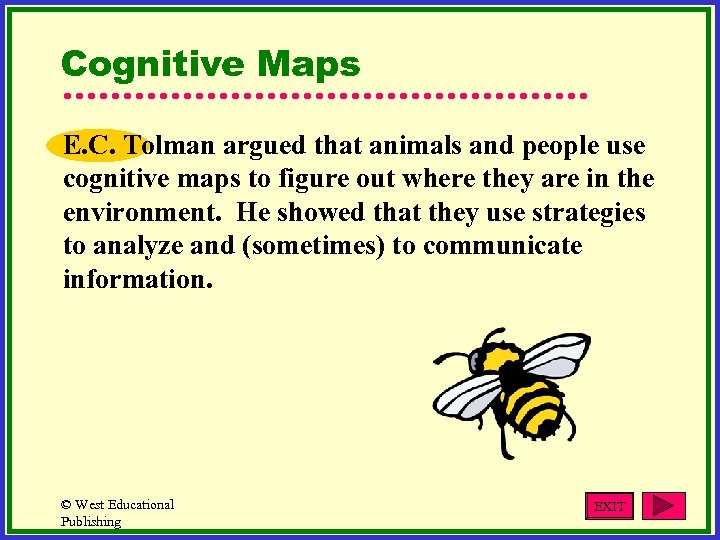 Cognitive Maps E. C. Tolman argued that animals and people use cognitive maps to