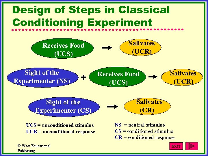 Design of Steps in Classical Conditioning Experiment Receives Food (UCS) Sight of the Experimenter