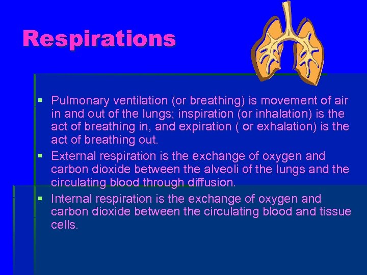 Respirations § Pulmonary ventilation (or breathing) is movement of air in and out of