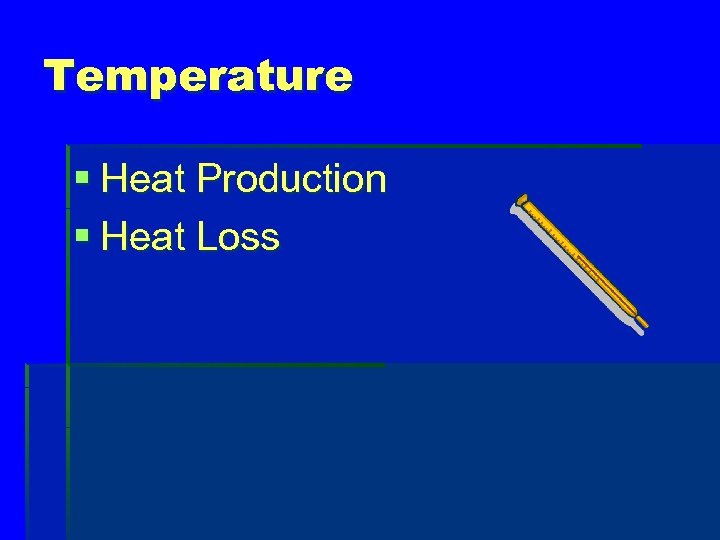 Temperature § Heat Production § Heat Loss 