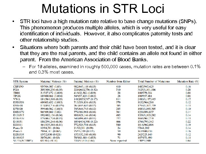 Mutations in STR Loci • • STR loci have a high mutation rate relative