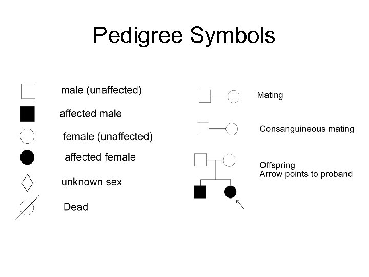 Pedigree Symbols 