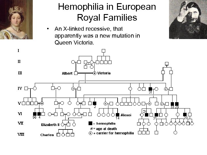 Hemophilia in European Royal Families • An X-linked recessive, that apparently was a new