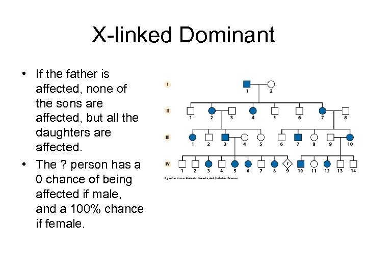 X-linked Dominant • If the father is affected, none of the sons are affected,