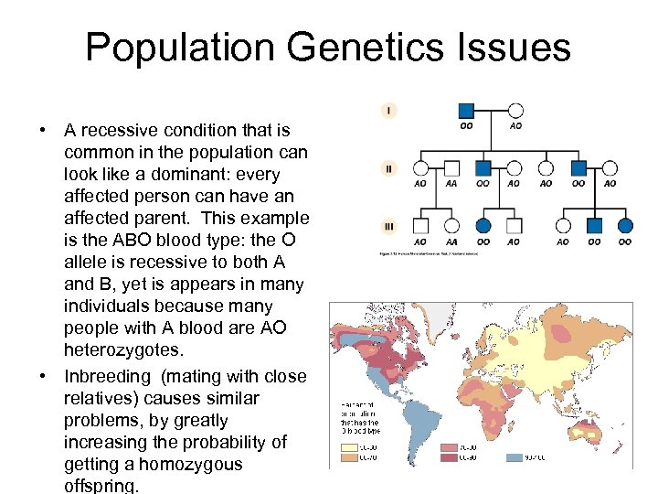 Population Genetics Issues • A recessive condition that is common in the population can