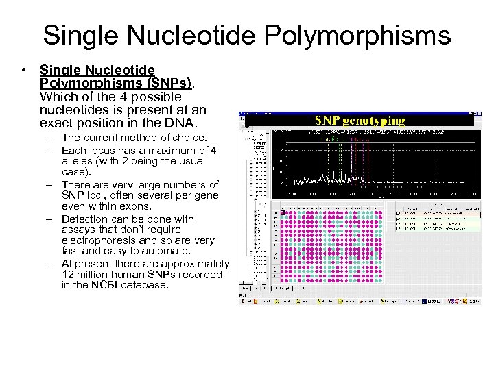 Single Nucleotide Polymorphisms • Single Nucleotide Polymorphisms (SNPs). Which of the 4 possible nucleotides