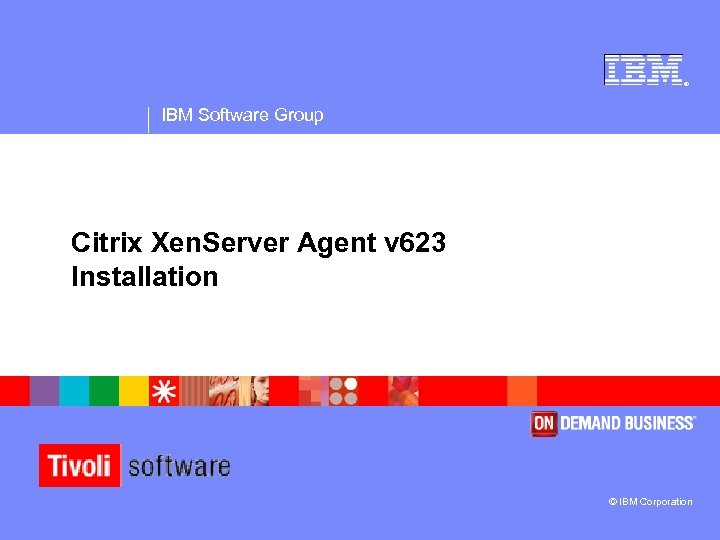 ® IBM Software Group Citrix Xen. Server Agent v 623 Installation © IBM Corporation