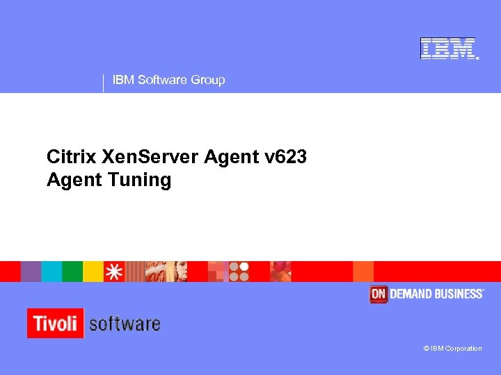 ® IBM Software Group Citrix Xen. Server Agent v 623 Agent Tuning © IBM