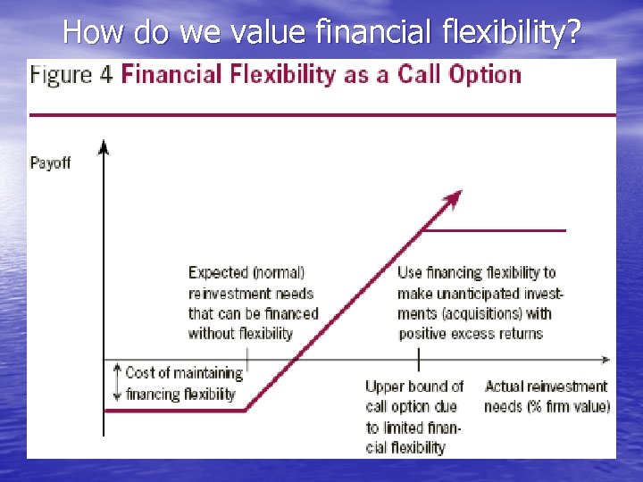 How do we value financial flexibility? 