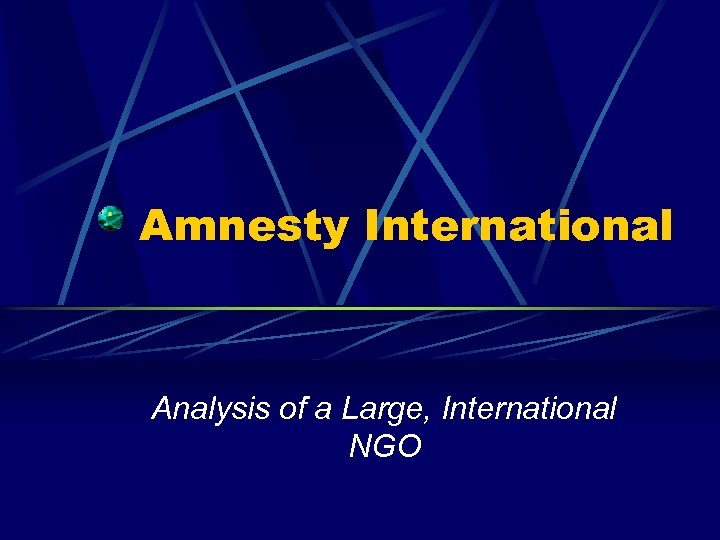 Amnesty International Analysis of a Large, International NGO 