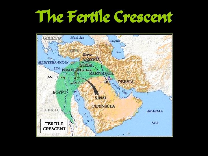 The Fertile Crescent 