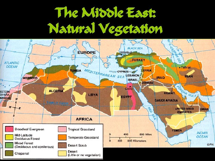 The Middle East: Natural Vegetation 