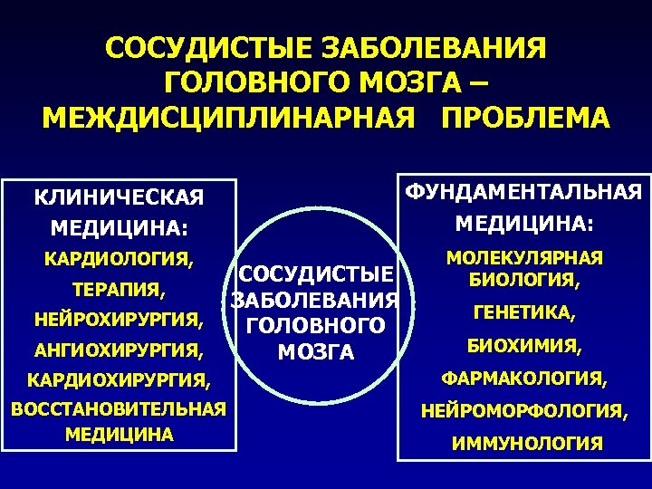 СОСУДИСТЫЕ ЗАБОЛЕВАНИЯ ГОЛОВНОГО МОЗГА – МЕЖДИСЦИПЛИНАРНАЯ ПРОБЛЕМА КЛИНИЧЕСКАЯ МЕДИЦИНА: ФУНДАМЕНТАЛЬНАЯ МЕДИЦИНА: КАРДИОЛОГИЯ, МОЛЕКУЛЯРНАЯ БИОЛОГИЯ,