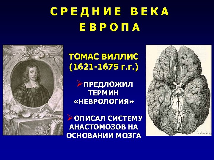 СРЕДНИЕ ВЕКА ЕВРОПА ТОМАС ВИЛЛИС (1621 -1675 г. г. ) ØПРЕДЛОЖИЛ ТЕРМИН «НЕВРОЛОГИЯ» ØОПИСАЛ