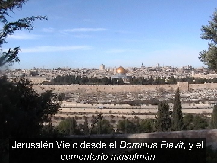 Jerusalén Viejo desde el Dominus Flevit, y el cementerio musulmán 